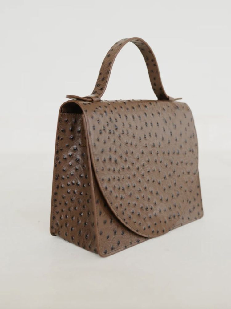 Mini Briefcase Etna struzzo