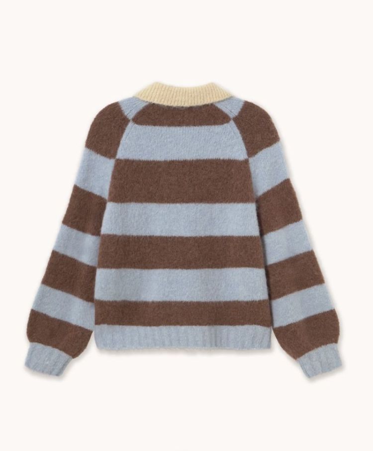 Frank striped Polo Washed blue / c