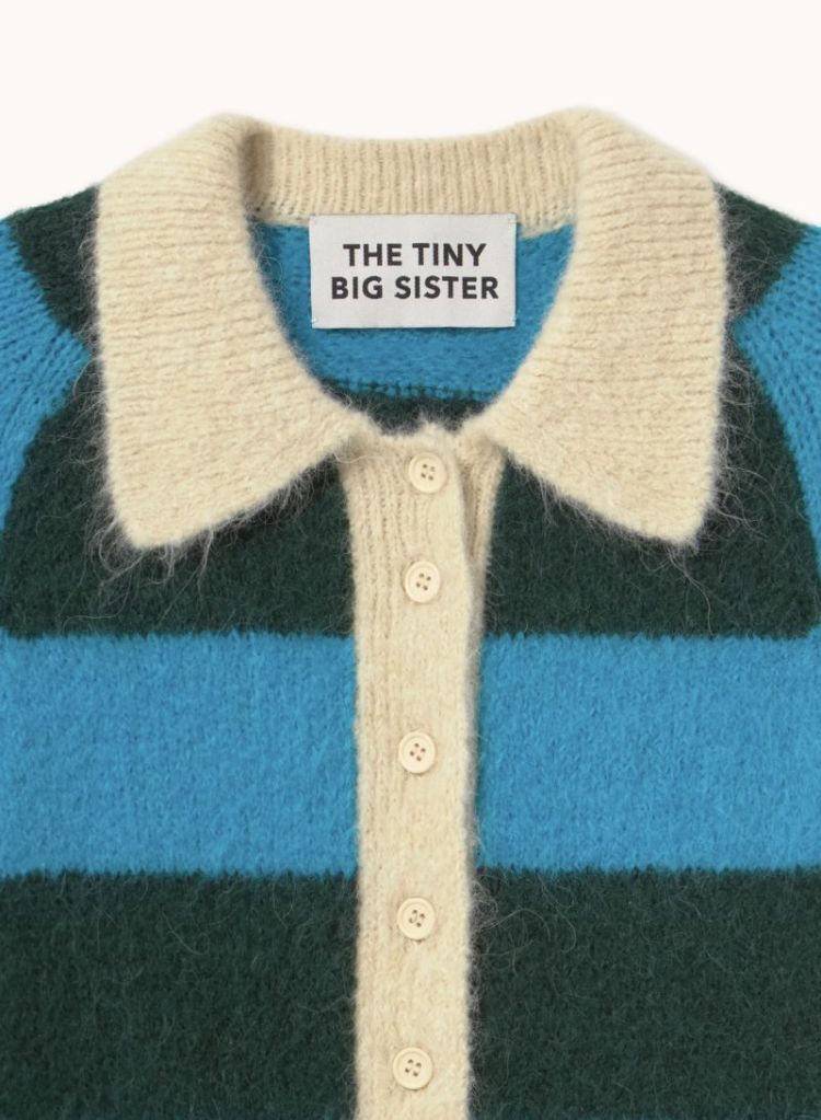 Frank striped Polo bottle gree / c