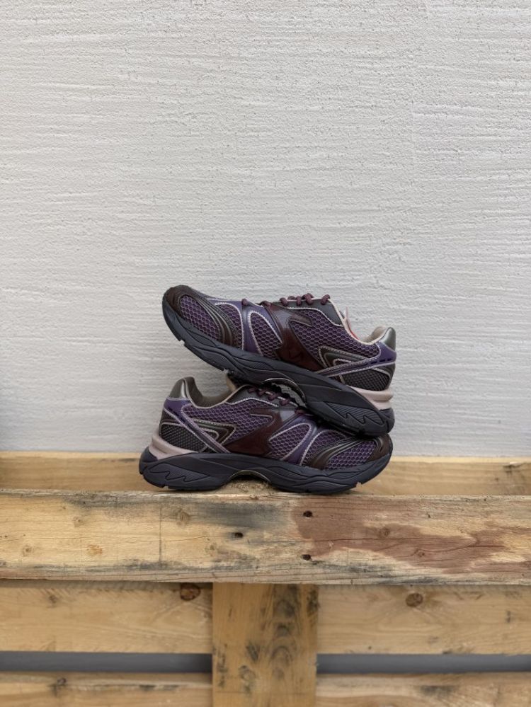 Kendari silk Cosmos