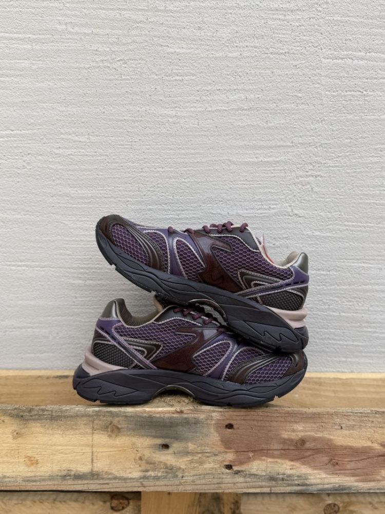 Kendari silk Cosmos