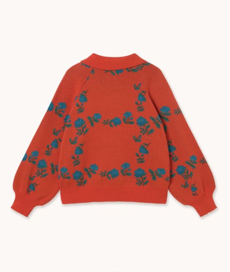 Roses polo sweater U04 Roses