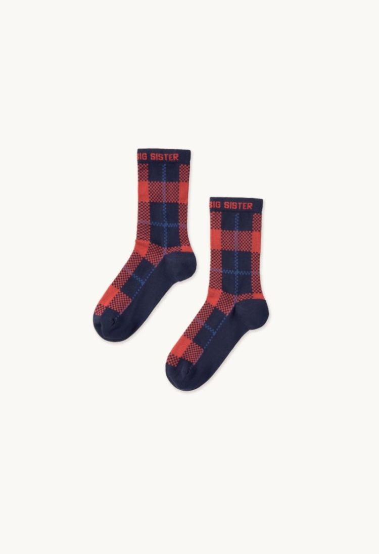 Checks medium socks 107 Fall