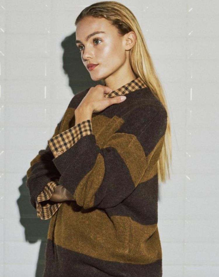 Wbliza ls stripe pullover Brown camel